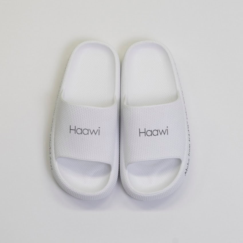 Slides